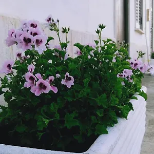 https://casa-maria-bartolomeo.palermohotels.org